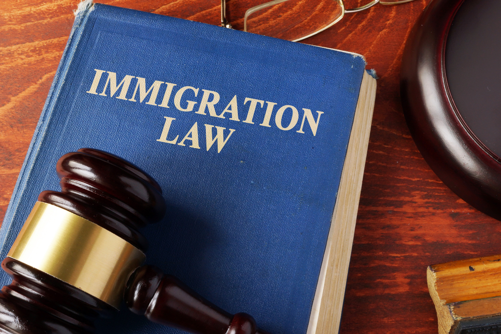 Immigration Law, Saleh and Associates